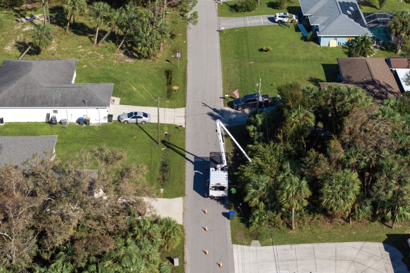 Emergency Tree Trimming